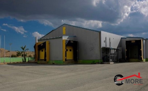 286512568_515777343580657_7246738409879521945_n