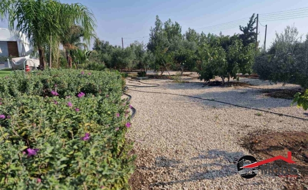 viber_image_2023-03-08_12-30-20-712