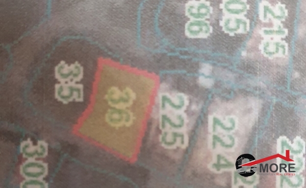 206852658_166071772241590_6462390668795708858_n