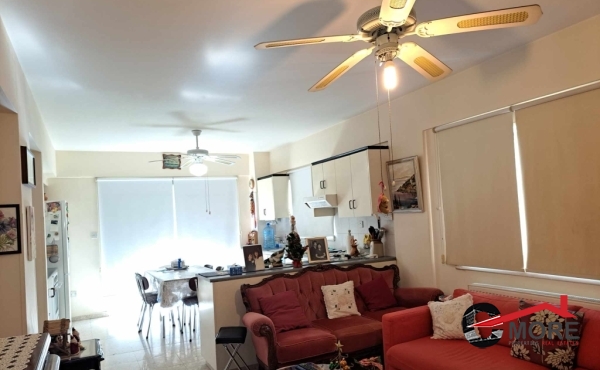 411285869_1763027584161595_8019202362403148053_n