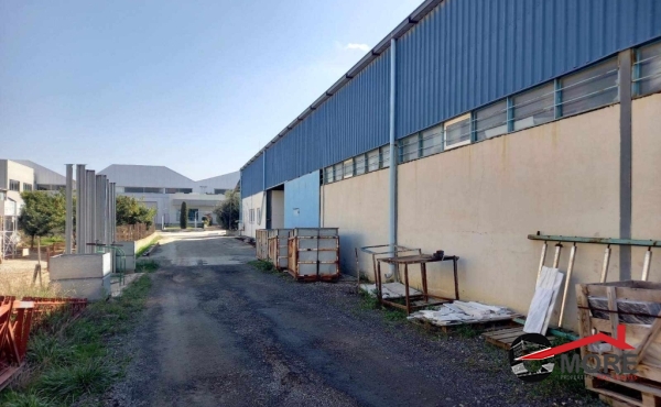 411129261_732673235460379_2475261078093974855_n