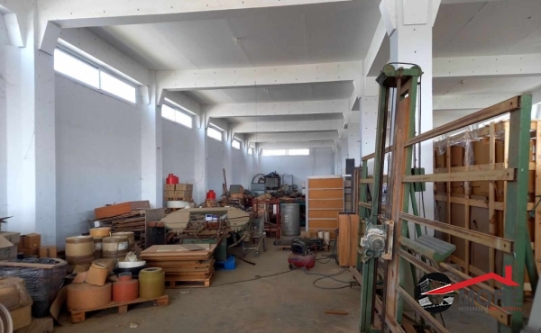 411518659_379510257956434_249316503827243937_n