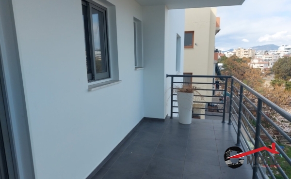 viber_image_2024-01-24_14-46-18-081