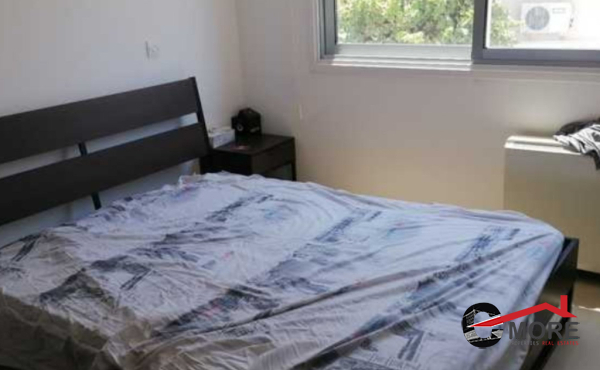 viber_image_2025-03-18_12-45-03-056