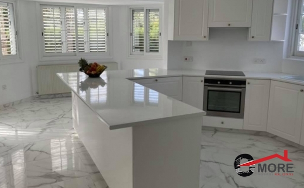 222565785_799519974060534_7020263315437409103_n