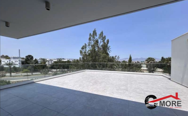 viber_image_2025-06-06_10-43-45-837