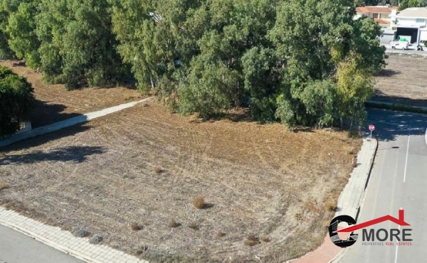 264037531_672034910625969_1810817656320900482_n