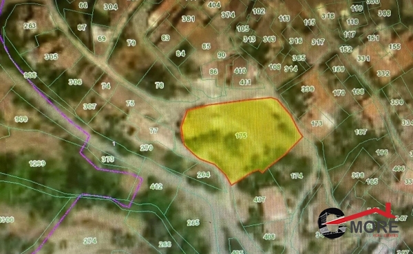 275595729_517565069764764_4587068910429975728_n