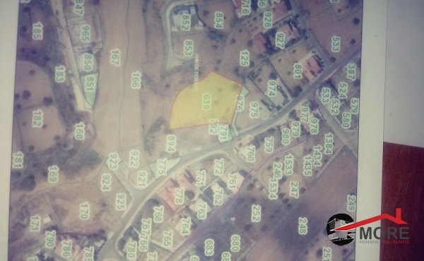 72641778_10211623789708904_974972449663746048_o