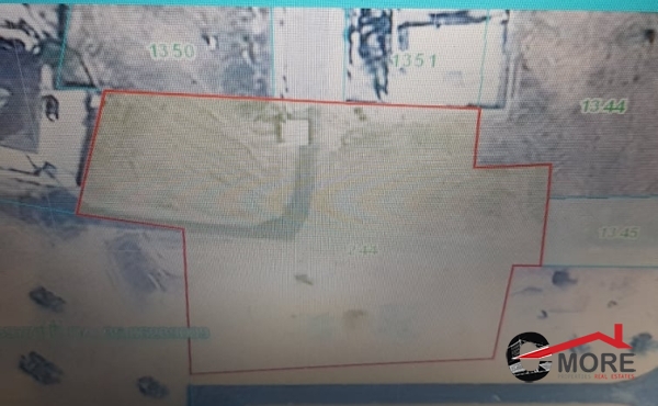 276039483_308035917936710_7518117637691022341_n