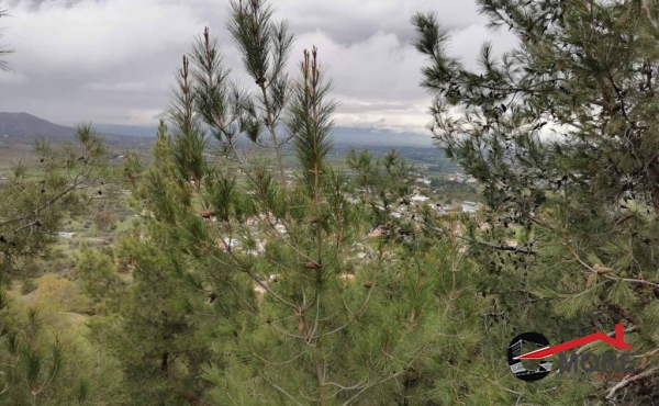 IMG-2d6c6fc202baba561ea24c23bab26484-V