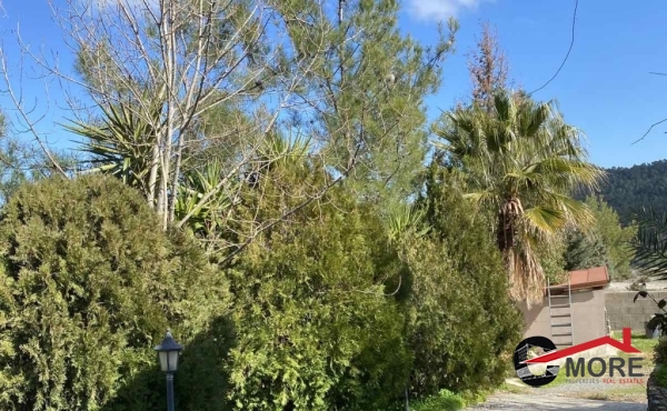 IMG-5033244ac23d60dc873a25fbfcf0845d-V