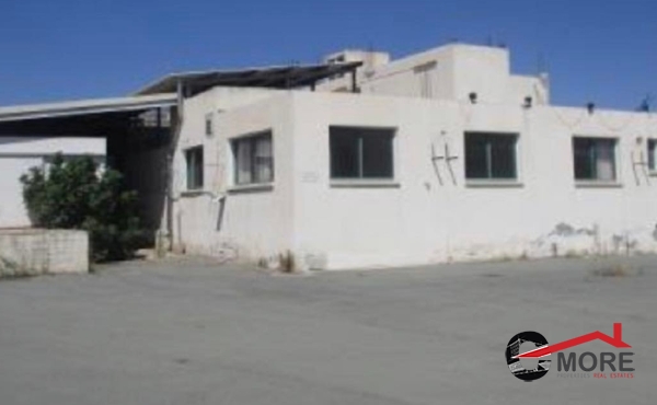 280586524_7494293683978398_3928211892232527464_n